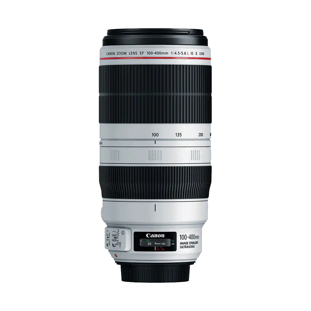 Canon EF 100-300mm 4.5-5.6 ULTRASONIC