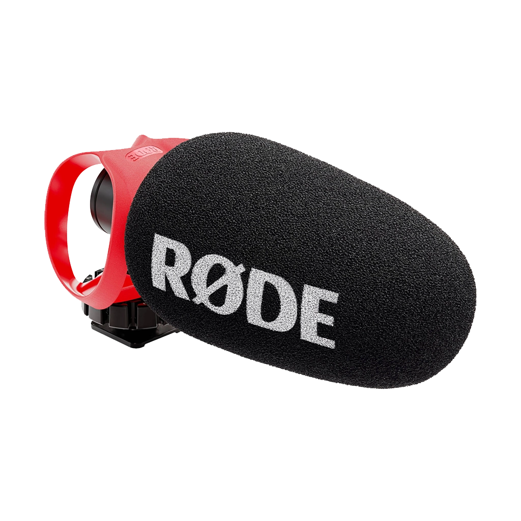 Rode VideoMic GO Lightweight On-Camera Microphone with Shockmount - Matte  Black Camera Rentals