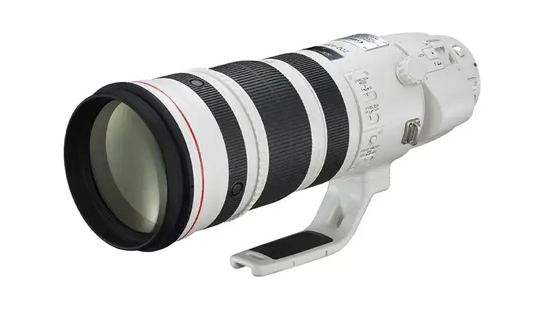 Canon 200-400mm f/4L Lens Finally Announced