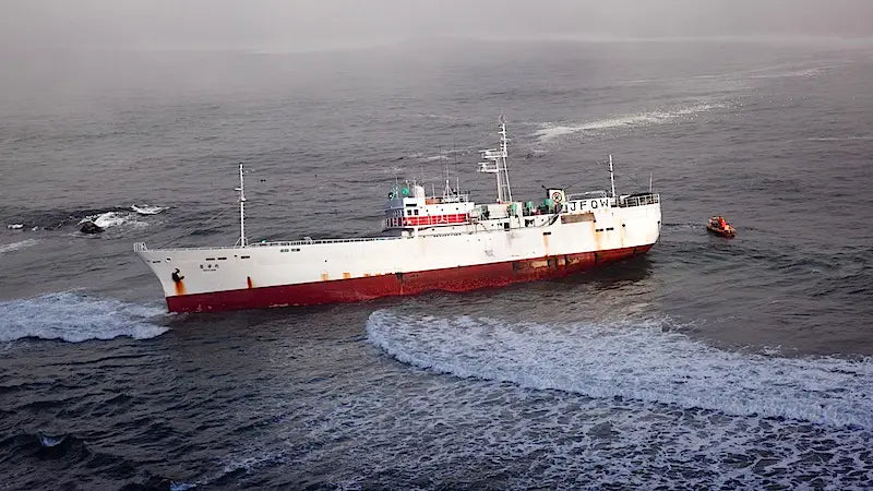 Clifton Shipwreck Photographed By Kyle Mijlof