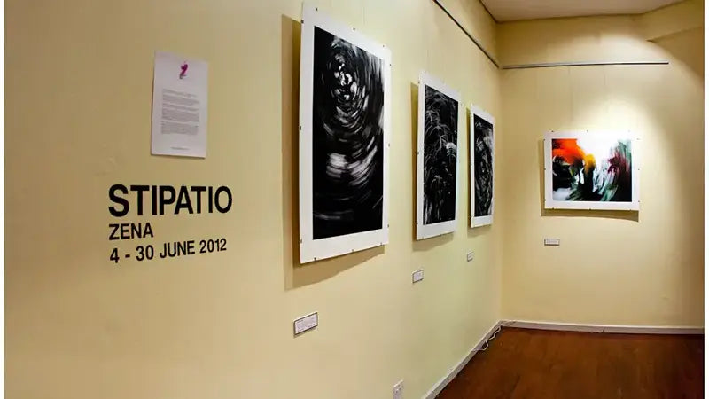 Exhibition: Stipatio By Nadia Zéphinié