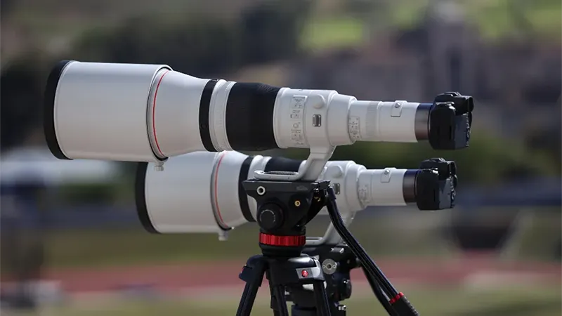 Mirrorless Super-Telephoto Lenses: What You Should Know