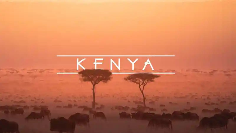 MrBrynNorth | Trip of a Lifetime To Kenya