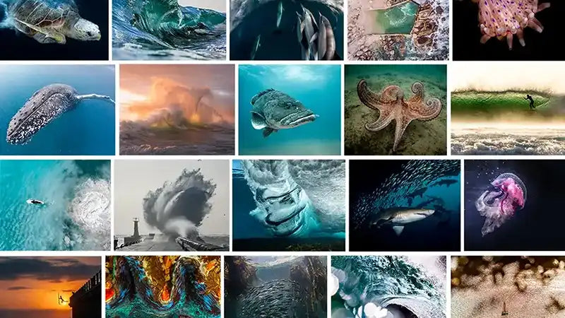 "The Ocean" - Our Finalists' Images Reveal The Magnificence Of The Sea