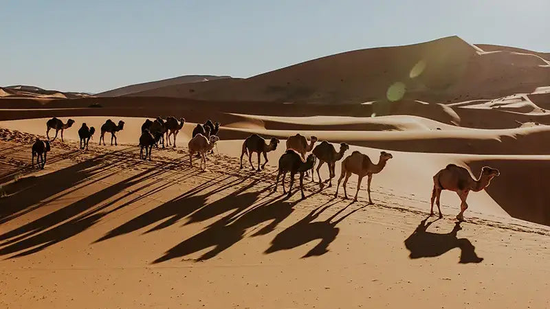 Travel Photography: Morocco by Vincent Brod