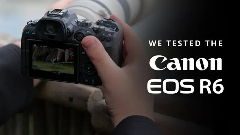 We Tested The Canon EOS R6 For Bird Photography: An Exclusive Orms Video Review