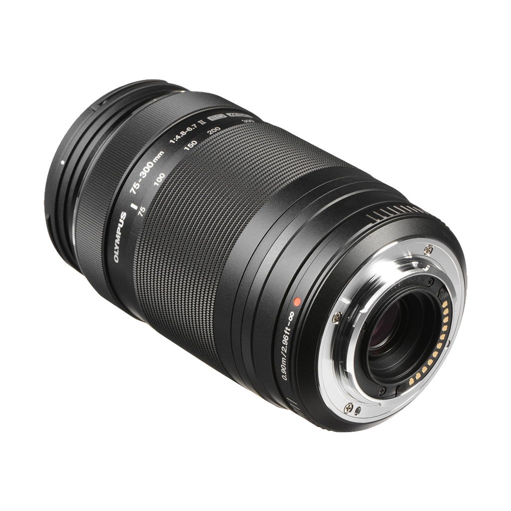 オリンパス 交換レンズ ED 75-300mm F4.8-6.7 II - レンズ(ズーム)